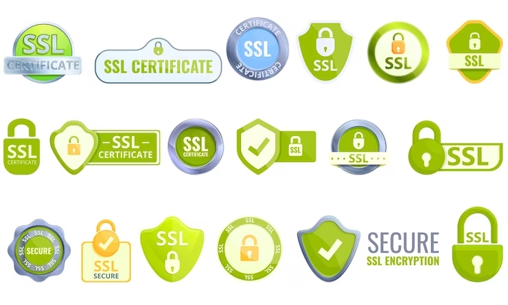 best SSL certificate for business